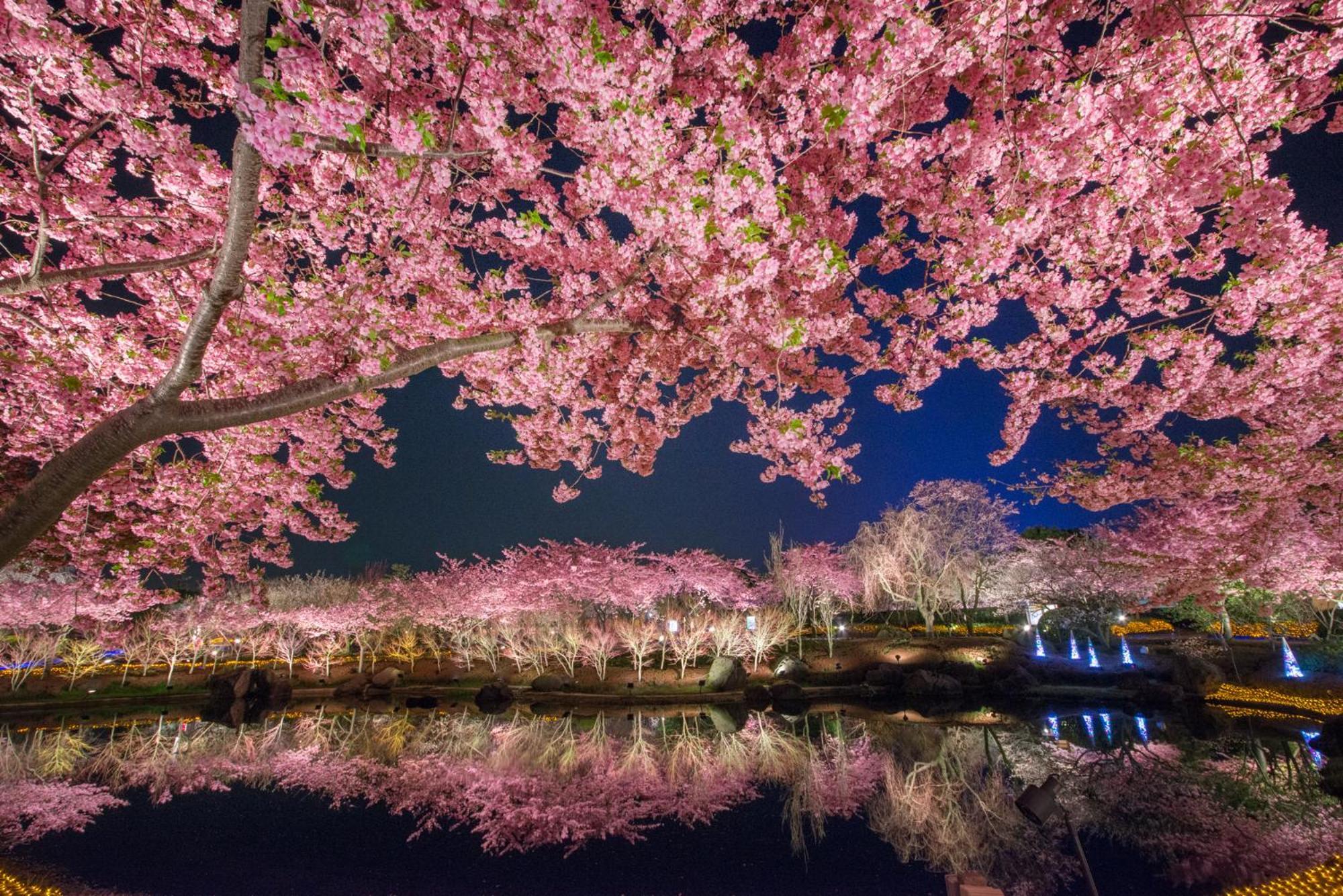 Hotel Castle Inn Yokkaichi Dış mekan fotoğraf